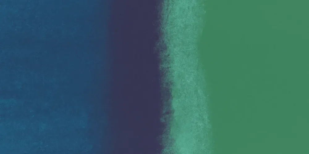 IPv6服务器安装哪吒探针